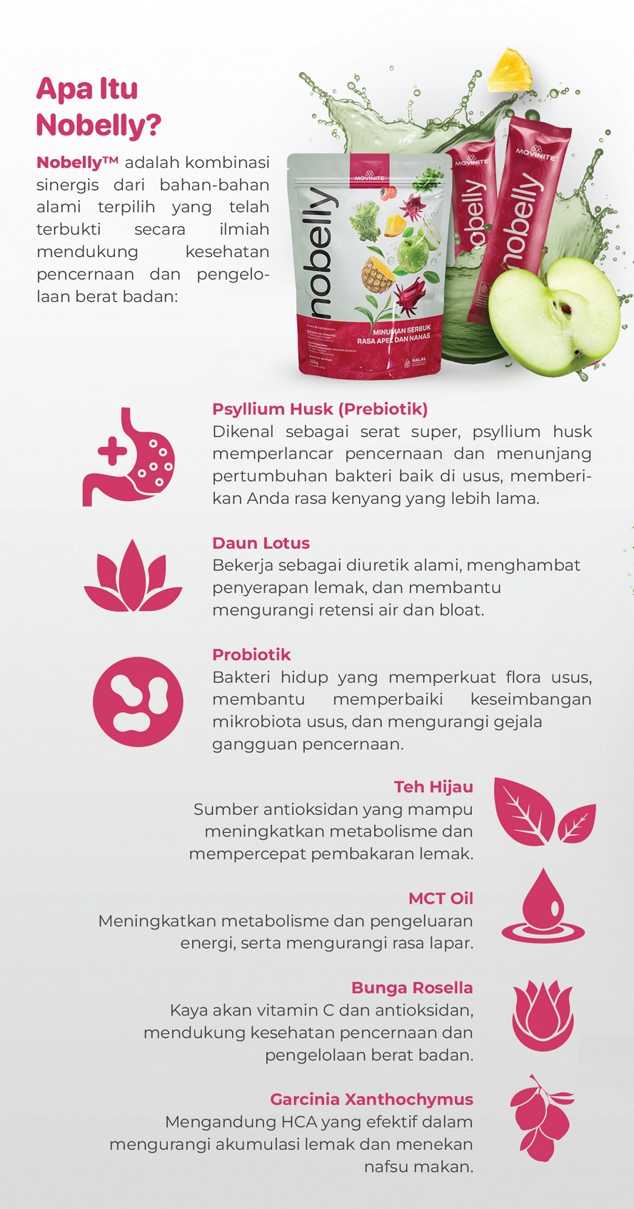 nobelly pelangsing perut buncit